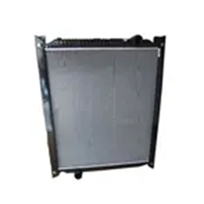Pièces automobiles Howo 375 Radiateur de camion à ordures modèle WG9719530276 pour le montage de voitures Foton
